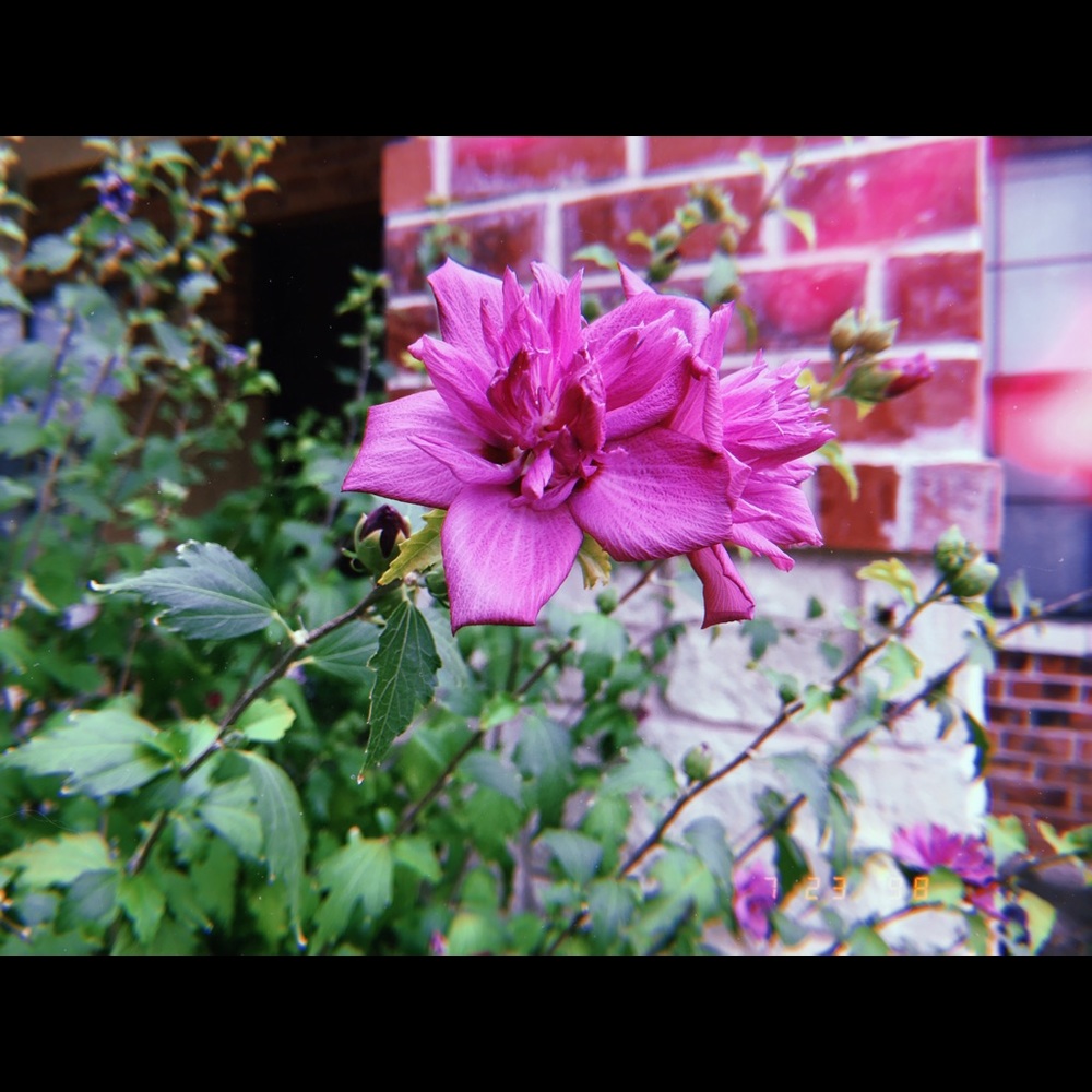 Meet your Posher, Ruby